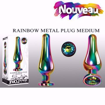 Image de Rainbow Metal Plug - Medium