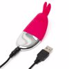 Happy-Rabbit-Panty-Vibe-Non-Remote-