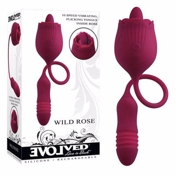 WILD-ROSE