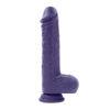 Image de Pleasure Rider - Purple