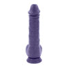 Image de Pleasure Rider - Purple