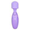 Image de Dr. Laura Berman® Olivia™ Rech. Mini Massager